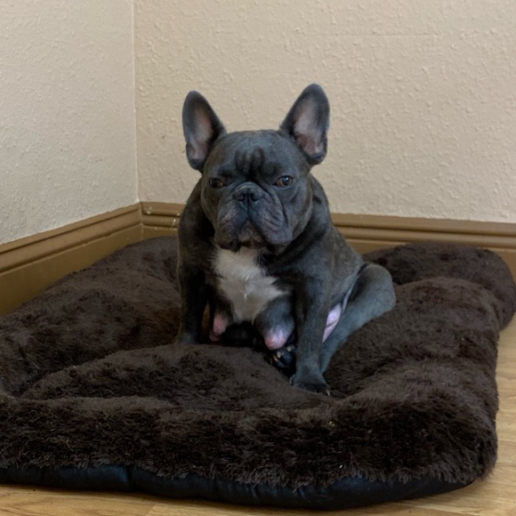 Meet your Posher, Gaby - Picture 6 of 10